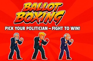 Image Ballot Boxing